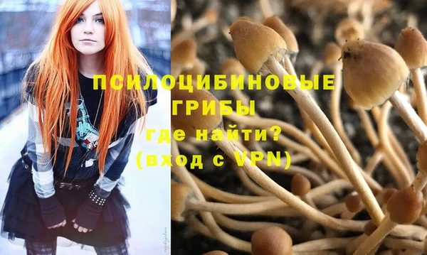 МДПВ Инта