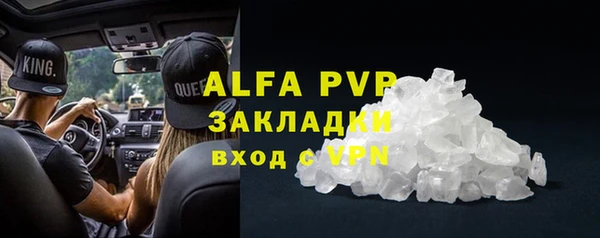 стаф Иннополис