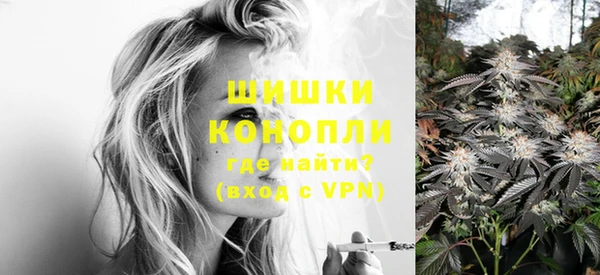 кокс Инсар
