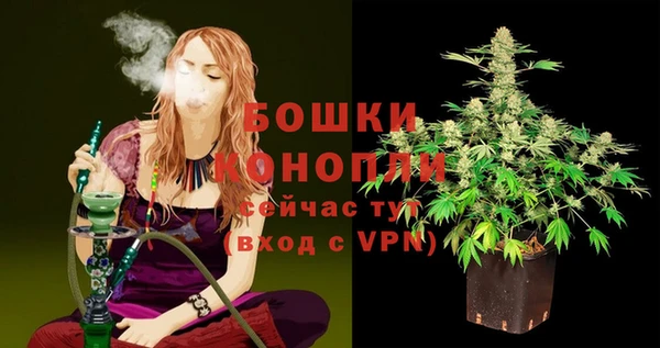 кокс Инсар
