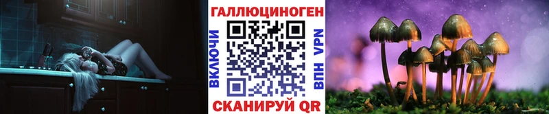 Галлюциногенные грибы Cubensis  Купить закладки  Гусев 
